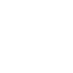 Train Booking
